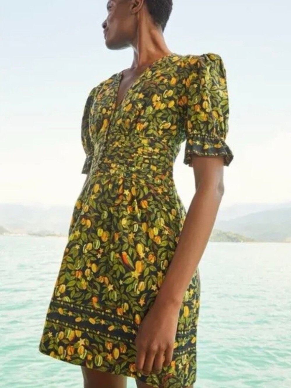 NWT FARM RIO Star Fruit Mini Dress